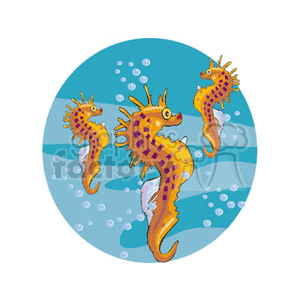 The clipart image shows three colorful seahorses with a background that suggests they are underwater, indicated by bubbles rising around them. They appear to be in a blue aquatic environment which may represent an ocean or a sea, typical of a tropical setting.