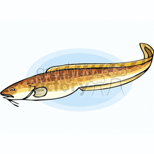 The clipart image features a simplified illustration of an eel. It shows a long, slender fish-like creature with a pointed snout and whisker-like structures near its mouth, which are characteristic of some eel species.