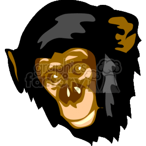 The imageis a stylized clipart representation of a chimpanzee's head. It has distinct facial features typically associated with chimpanzees, such as prominent ears and a pronounced brow ridge. The clipart uses a limited color palette, primarily consisting of shades of brown and black to outline the features and hair of the chimpanzee.