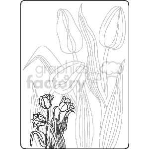 The clipart image you've provided features a black-and-white line art illustration of tulips and their leaves. The tulips are depicted in various stages of bloom, with some closed buds and others partially open, showcasing the plant's elegant, elongated petals and strong stems. The design is simple yet detailed, emphasizing the flowers' natural forms. It's important to notice that despite the keywords provided, the flowers depicted are tulips, not roses. This image could be used as a decorative element due to its border-like frame, which would lend an artistic touch to various projects.