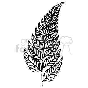 The clipart image depicts a detailed illustration of a leafy plant branch or fern with multiple small, elongated leaves arranged in a feather-like pattern. The image is likely designed for use in artwork, educational material, or as a decorative element with a nature theme.