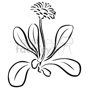 The clipart image depicts a stylized outline of a plant, specifically a flower that could be a daisy. It shows a long stem with several leaves and a single flower at the top with a round center and multiple petals radiating outward.