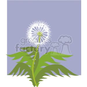 The clipart image features a stylized dandelion in seed form with a fluff of white seed parachutes ready to be dispersed. The dandelion has a long green stem and lush green leaves at the base. It is set against a solid grey background.