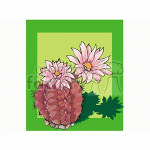 The clipart image shows a stylized depiction of a Gymnocalycium mihanovichii, commonly known as a Chin Cactus, with two prominent pink flowers blooming from the top. The cactus appears rounded with segments and has several thorns protruding from it. In the background, there is a green square frame with a lighter green background, and a couple of green leaf illustrations that suggest the setting of a botanical theme.