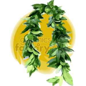 The clipart image shows a Hawaiian Maile lei, which is a traditional Hawaiian garland made from the leaves of the Maile vine. The lei is depicted with a series of green leaves that are typically dense and shiny, arranged in a loop as they would be worn.