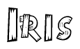 The image contains the name Iris written in a decorative, stylized font with a hand-drawn appearance. The lines are made up of what appears to be planks of wood, which are nailed together
