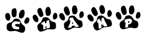 The image shows a series of animal paw prints arranged in a horizontal line. Each paw print contains a letter, and together they spell out the word Champ.