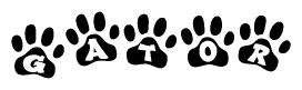 The image shows a series of animal paw prints arranged horizontally. Within each paw print, there's a letter; together they spell Gator