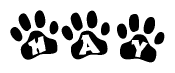 The image shows a series of animal paw prints arranged horizontally. Within each paw print, there's a letter; together they spell Hay