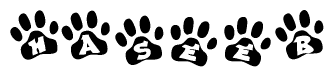 The image shows a series of animal paw prints arranged in a horizontal line. Each paw print contains a letter, and together they spell out the word Haseeb.