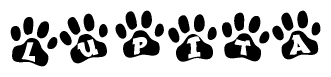 The image shows a series of animal paw prints arranged in a horizontal line. Each paw print contains a letter, and together they spell out the word Lupita.