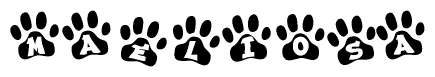 The image shows a series of animal paw prints arranged in a horizontal line. Each paw print contains a letter, and together they spell out the word Maeliosa.