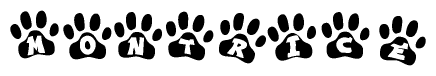 The image shows a series of animal paw prints arranged in a horizontal line. Each paw print contains a letter, and together they spell out the word Montrice.