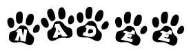 The image shows a row of animal paw prints, each containing a letter. The letters spell out the word Nadee within the paw prints.