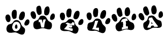 The image shows a row of animal paw prints, each containing a letter. The letters spell out the word Ovelia within the paw prints.