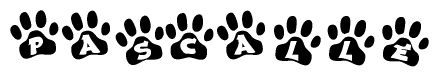 The image shows a series of animal paw prints arranged in a horizontal line. Each paw print contains a letter, and together they spell out the word Pascalle.