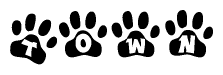 The image shows a series of animal paw prints arranged horizontally. Within each paw print, there's a letter; together they spell Town