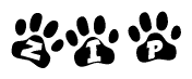 The image shows a series of animal paw prints arranged in a horizontal line. Each paw print contains a letter, and together they spell out the word Zip.