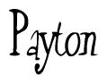 The image is of the word Payton stylized in a cursive script.