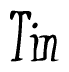 The image contains the word 'Tin' written in a cursive, stylized font.