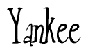 The image is a stylized text or script that reads 'Yankee' in a cursive or calligraphic font.