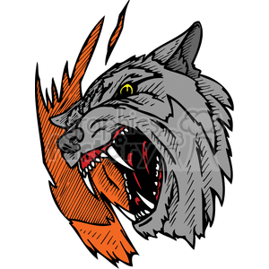 The clipart image depicts a stylized head of a snarling wolf with its teeth bared. The wolf appears to be aggressive or defensive. The design includes bold, fiery-colored elements that create a dynamic and intense look. This image could be suitable for uses such as tattoo designs, vinyl decals, signage, or any application that seeks to emphasize traits like fierceness or wildness.