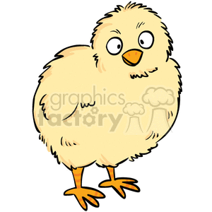 The clipart image depicts a cute cartoon chick with yellow feathers and an orange beak. It is looking forward, with slightly cross-eyed eyes. 