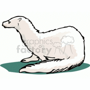 This clipart image depicts a stylized white mink seated on a green surface. The mink has a slender body, long neck, and a small head with a pointed face, typical of mustelids.