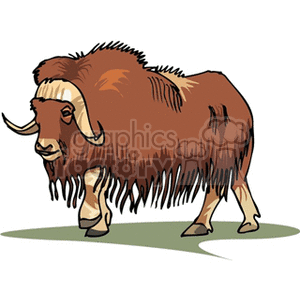 The clipart image depicts a stylized illustration of a bison, also known as a buffalo, with prominent horns and a heavy fur coat. It appears to be standing on a grassy surface.