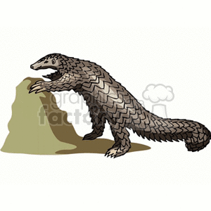 The clipart image shows a pangolin, which is a mammal with large, protective keratin scales covering its skin. It is the only mammal known to have this feature. Pangolins are often confused with anteaters and armadillos due to their similar dietary habits and physical characteristics, but they are distinct species.