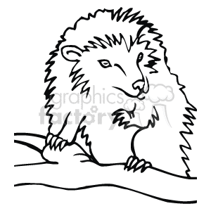 The clipart line art drawing shows a hedgehog, which is a small spiny mammal with brown and tan fur. It is looking directly at the viewer