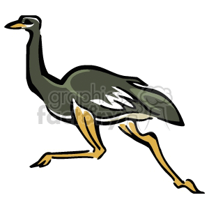 The image is a clipart of an ostrich. It shows the ostrich in motion, with two of its legs visible mid-stride, and it's characterized by a long neck and legs, and a relatively large body with wing-like appendages indicative of flightless birds.