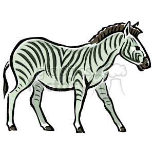 This clipart image depicts a stylized drawing of a zebra. The zebra is shown in profile, with characteristic black and white stripes, a short mane, and an attentive stance.