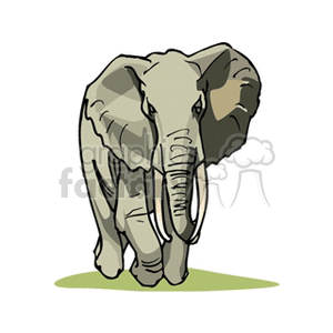 The clipart image shows an elephant, which appears to be of the African species as indicated by its large ears and visible tusks. This big mammal is standing on what seems to be a small patch of grass.