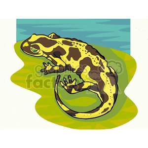 The clipart image features a yellow and black spotted salamander on a green leaf, with a blue background suggesting water behind it.