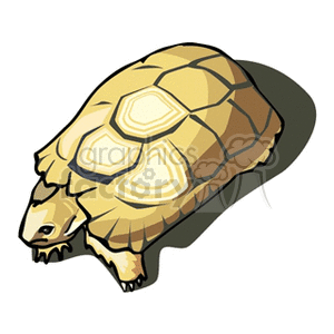 The image is a clipart depiction of a turtle. The turtle is on land and has a patterned shell, which suggests it may not be a sea turtle as those typically have smoother shells. It looks more like a terrestrial turtle, potentially a pet turtle variety, such as a box turtle, given its dome-shaped shell.