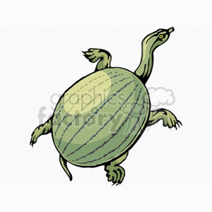 This image features a stylized representation of a turtle with a body resembling a watermelon, suggesting a creative or humorous twist. The turtle is depicted with its limbs extended, a long neck, and a head with eyes looking upwards.