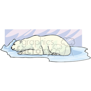 The clipart image depicts a single polar bear. Keywords associated with this image include: polar bear, white, animal, resting, and sleeping. The bear appears to be relaxing or asleep on a flat icy surface with a soft purple and blue background suggesting a cold, arctic environment.