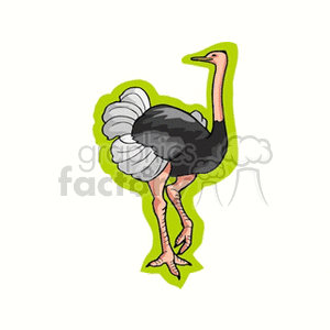 Ostrich in a green outline