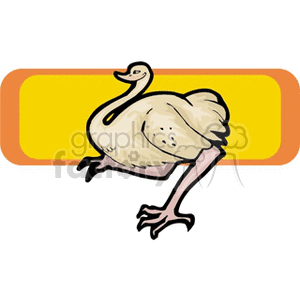 Fat ostrich against an orange background