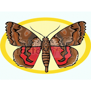 butterfly with red and brown wings design