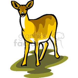 The clipart image shows a stylized cartoon deer facing forward with its head held high and its ears perked up looking towards you. The deer has brown fur, a white belly, and is standing on a grassy surface.
