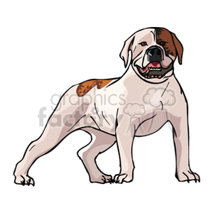 The clipart image features a representation of a dog, which appears to be a pit bull terrier. The dog is standing, with its body facing the viewer, and it has a muscular build. The pit bull terrier depicted has a short coat, with patches of color on its body.