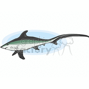 The clipart image features a stylized illustration of a shark. The shark is depicted with a streamlined body, a prominent dorsal fin, pectoral fins, a pointed snout, and gills.
