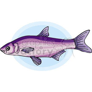 The image shows an illustrated clipart of a purple fish with a pinkish hue to its body. The fish is depicted in a side profile against a light blue circular backdrop.