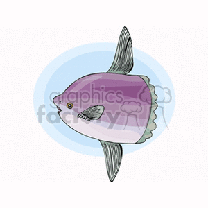 The image depicts a stylized illustration of a tropical fish. The fish has a rounded body with a gradient from white to purple, with a darker purple stripe running horizontally through the middle. The fins are gray, and the tail appears to be fan-shaped. The fish also has visible gill slits, a small black eye, and a simple mouth.