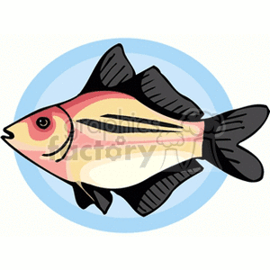 The image is a colorful illustration of a fish. The fish is depicted with a pink and cream body, black fins, and a pattern of black stripes. It has a simple, cartoonish style and is set against a light blue circular background.