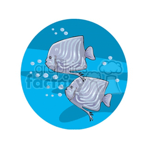 The clipart image depicts two stylized tropical fish with stripe patterns, swimming underwater and surrounded by small bubble illustrations, all set against a circular blue background that represents water.