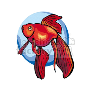 The clipart image depicts a stylized goldfish with a vibrant orange-red body and flowing fins and tail. The fish is set against a circular blue background that gives the impression of it swimming in water.