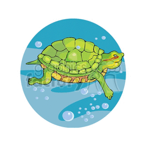 The clipart image shows a single cartoon turtle swimming underwater. The turtle is green with a darker green shell, and it is surrounded by bubbles. There are no fish or other sea animals visible in this image, contrary to the keywords provided.